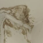 Plíseň po přetečení vody