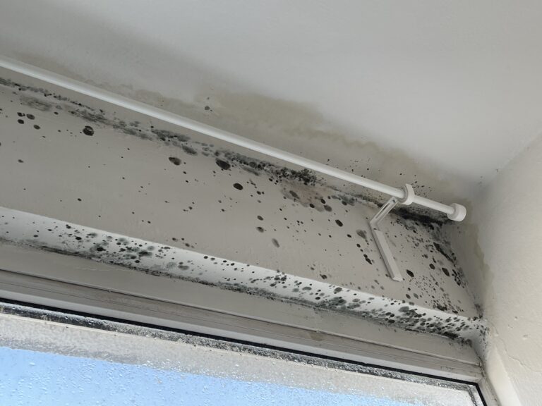 Plíseň u okna