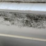 Plíseň pod parapetem