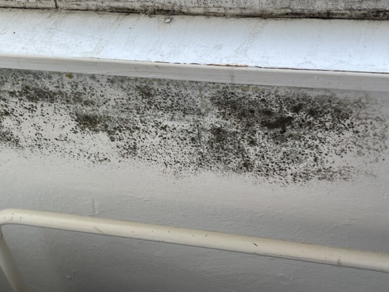 Plíseň pod parapetem