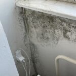 Plíseň u parapetu