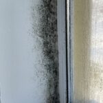 Vznik plísně u okna