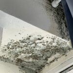 Plíseň v rohu okna