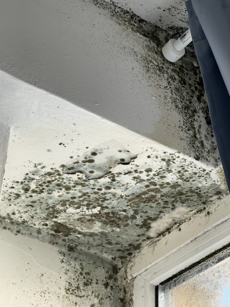 Plíseň v rohu okna